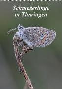 Schmetterlinge in Thüringen (Wandkalender 2020 DIN A2 hoch)