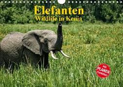 Elefanten . Wildlife in Kenia (Wandkalender 2020 DIN A4 quer)