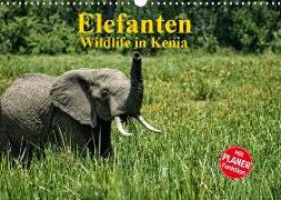Elefanten . Wildlife in Kenia (Wandkalender 2020 DIN A3 quer)