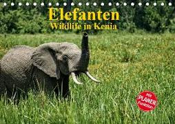 Elefanten . Wildlife in Kenia (Tischkalender 2020 DIN A5 quer)