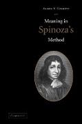 Meaning in Spinoza's Method