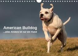 American Bulldog - alles Andere ist nur ein Hund (Wandkalender 2020 DIN A4 quer)