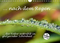 nach dem Regen ... die Natur erstrahlt in glitzernder Schönheit (Wandkalender 2020 DIN A4 quer)