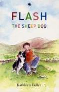 Flash the Sheep Dog