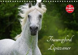 Traumpferd Lipizzaner (Wandkalender 2020 DIN A4 quer)