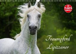 Traumpferd Lipizzaner (Wandkalender 2020 DIN A3 quer)