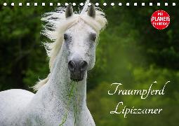 Traumpferd Lipizzaner (Tischkalender 2020 DIN A5 quer)