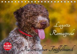 Lagotto Romagnolo - Italienischer Trüffelhund (Tischkalender 2020 DIN A5 quer)