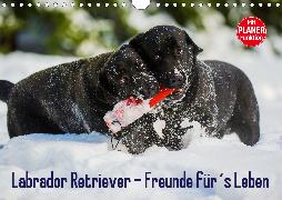 Labrador Retriever - Freunde für´s Leben (Wandkalender 2020 DIN A4 quer)