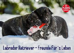 Labrador Retriever - Freunde für´s Leben (Wandkalender 2020 DIN A3 quer)