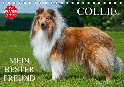 Collie - Mein bester Freund (Tischkalender 2020 DIN A5 quer)