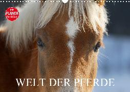 Welt der Pferde (Wandkalender 2020 DIN A3 quer)