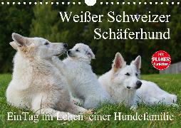 Weißer Schweizer Schäferhund - Ein Tag im Leben einer Hundefamilie (Wandkalender 2020 DIN A4 quer)