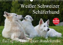 Weißer Schweizer Schäferhund - Ein Tag im Leben einer Hundefamilie (Wandkalender 2020 DIN A3 quer)