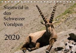 Steinwild in den Schweizer Voralpen (Tischkalender 2020 DIN A5 quer)