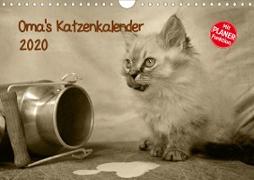 Oma's Katzenkalender 2020 (Wandkalender 2020 DIN A4 quer)