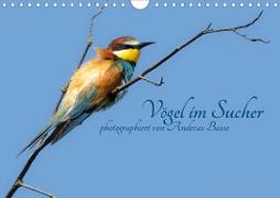 Vögel im Sucher (Wandkalender 2020 DIN A4 quer)