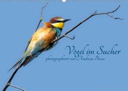 Vögel im Sucher (Wandkalender 2020 DIN A2 quer)