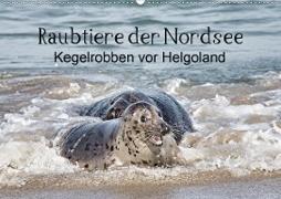 Raubtier der Nordsee - Kegelrobben vor Helgoland (Wandkalender 2020 DIN A2 quer)