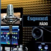 Esguard Paper 06