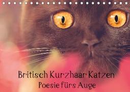 Britisch Kurzhaar Katzen - Poesie fürs Auge (Tischkalender 2020 DIN A5 quer)