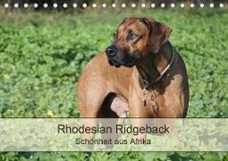Rhodesian Ridgeback Schönheit aus Afrika (Tischkalender 2020 DIN A5 quer)