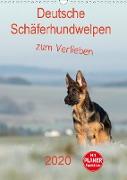 Deutsche Schäferhundwelpen zum Verlieben (Wandkalender 2020 DIN A3 hoch)