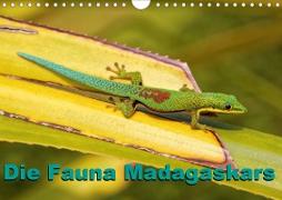 Die Fauna Madagaskars (Wandkalender 2020 DIN A4 quer)