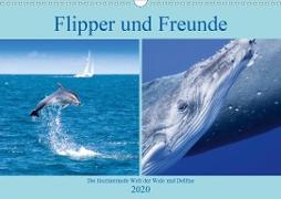 Flipper und Freunde (Wandkalender 2020 DIN A3 quer)