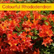 Colourful Rhododendron (Wall Calendar 2020 300 × 300 mm Square)