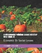 Environmental Pollution Causes Whether What Kinds of: Economic or Social Losses