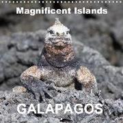 Galapagos magnificent islands (Wall Calendar 2020 300 × 300 mm Square)