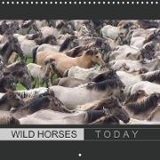 Wild horses today (Wall Calendar 2020 300 × 300 mm Square)