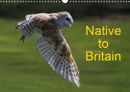 Native to Britain (Wall Calendar 2020 DIN A3 Landscape)