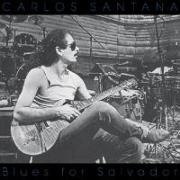 Blues For Salvador