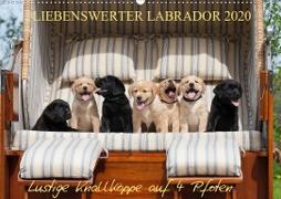 Liebenswerter Labrador 2020 (Wandkalender 2020 DIN A2 quer)