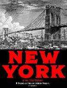 New York in the 19th Century: A Dramatic Collection of Images