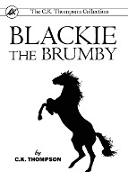 Blackie The Brumby