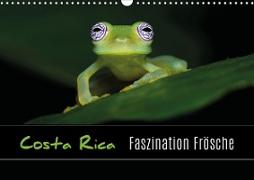 Costa Rica - Faszination Frösche (Wandkalender 2020 DIN A3 quer)