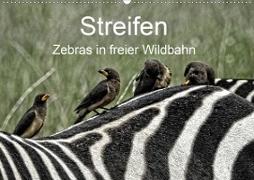 Streifen - Zebras in freier Wildbahn (Wandkalender 2020 DIN A2 quer)