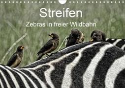 Streifen - Zebras in freier Wildbahn (Wandkalender 2020 DIN A4 quer)