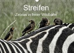 Streifen - Zebras in freier Wildbahn (Wandkalender 2020 DIN A3 quer)