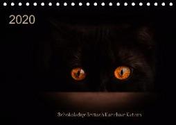Schokoladige Britisch Kurzhaar Katzen (Tischkalender 2020 DIN A5 quer)