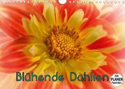 Blühende Dahlien (Wandkalender 2020 DIN A4 quer)