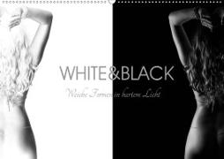 White and Black - Weibliche Formen in hartem Licht (Wandkalender 2020 DIN A2 quer)