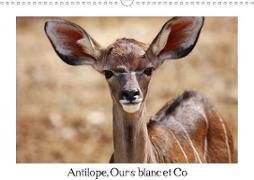 Antilope, Ours blanc et Co (Calendrier mural 2020 DIN A3 horizontal)