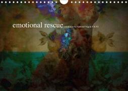 emotional rescue (Wall Calendar 2020 DIN A4 Landscape)