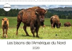 Les bisons de l'Amérique du Nord (Calendrier mural 2020 DIN A3 horizontal)