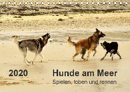 Hunde am Meer - Spielen, toben und rennen (Tischkalender 2020 DIN A5 quer)