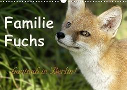 Familie Fuchs hautnah in Berlin (Wandkalender 2020 DIN A3 quer)